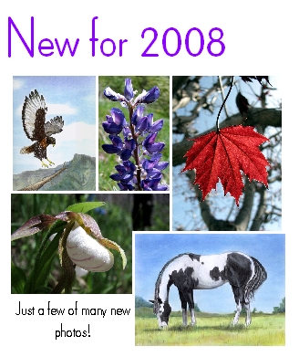 New