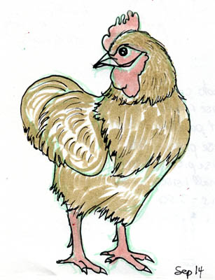 chicken05.jpg