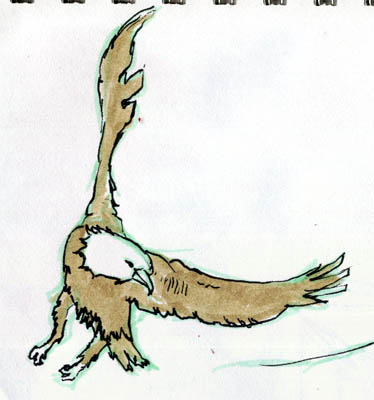 eagle05.jpg
